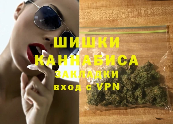 ГАЛЛЮЦИНОГЕННЫЕ ГРИБЫ Верея