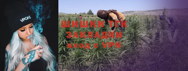 ГАЛЛЮЦИНОГЕННЫЕ ГРИБЫ Верея