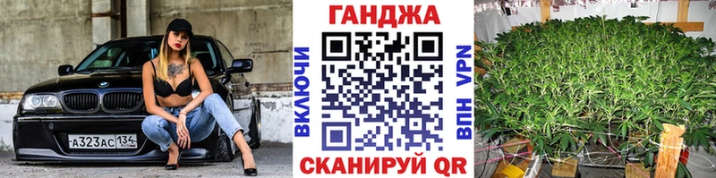 Бошки Шишки план  Купить где  Лесосибирск 